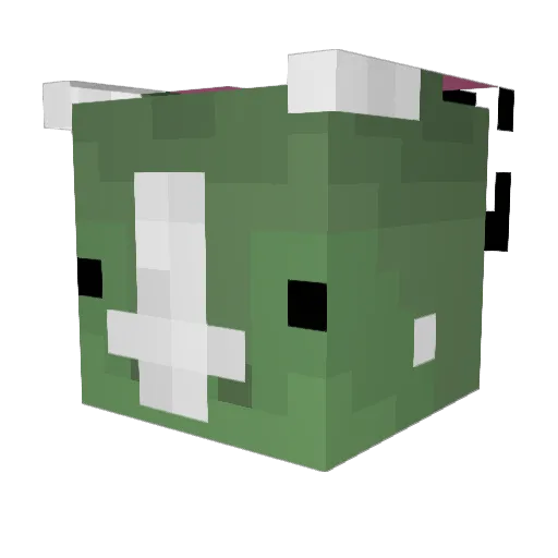 fwie Minecraft avatar head, 3D render