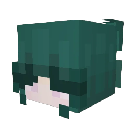 fwiish Minecraft avatar head, 3D render