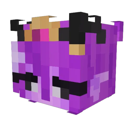 fwitch_ Minecraft avatar head, 3D render