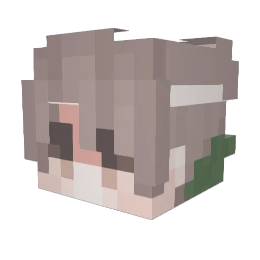 fwiv Minecraft avatar head, 3D render