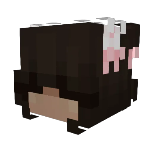 fwjae Minecraft avatar head, 3D render