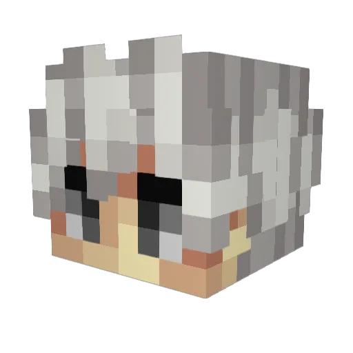 fwjaise Minecraft avatar head, 3D render