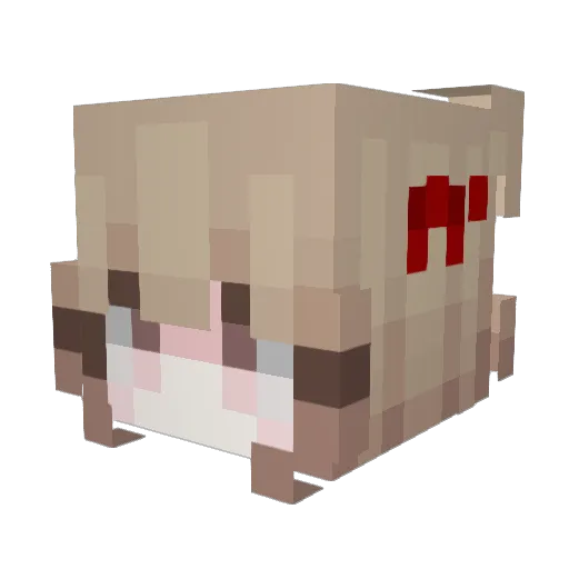 fwleahh Minecraft avatar head, 3D render