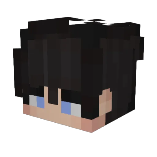 fwlo_ Minecraft avatar head, 3D render