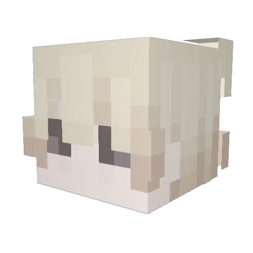 fwo Minecraft avatar head, 3D render