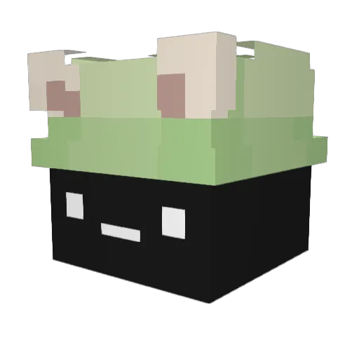fwoggo Minecraft avatar head, 3D render