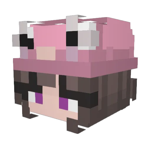 fwogkamii Minecraft avatar head, 3D render