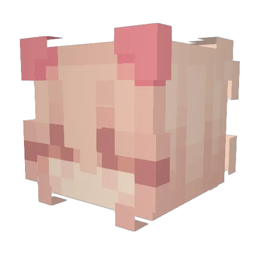 fwogzi Minecraft avatar head, 3D render