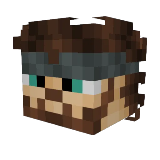 fwoods69 Minecraft avatar head, 3D render