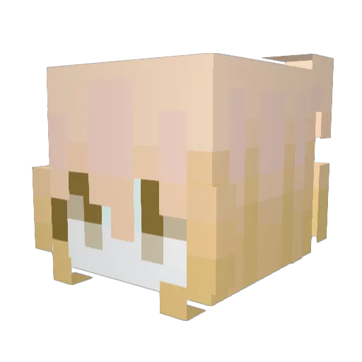 fwqix Minecraft avatar head, 3D render