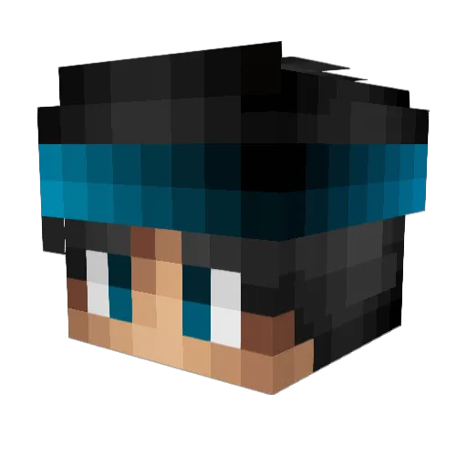 fws Minecraft avatar head, 3D render