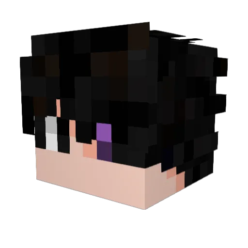 fwsz Minecraft avatar head, 3D render