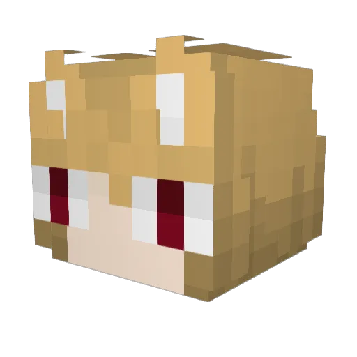 fwufff Minecraft avatar head, 3D render