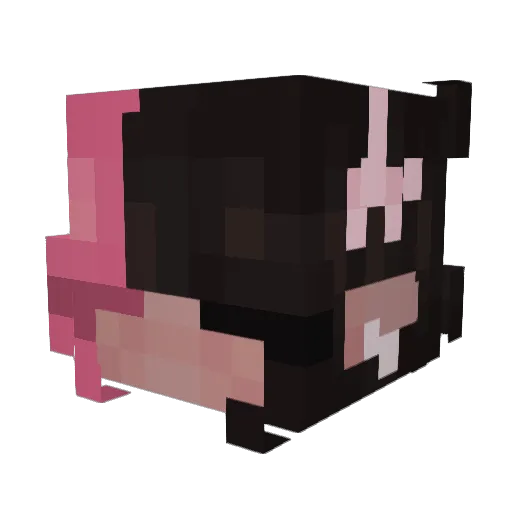 fwuitypebbles Minecraft avatar head, 3D render