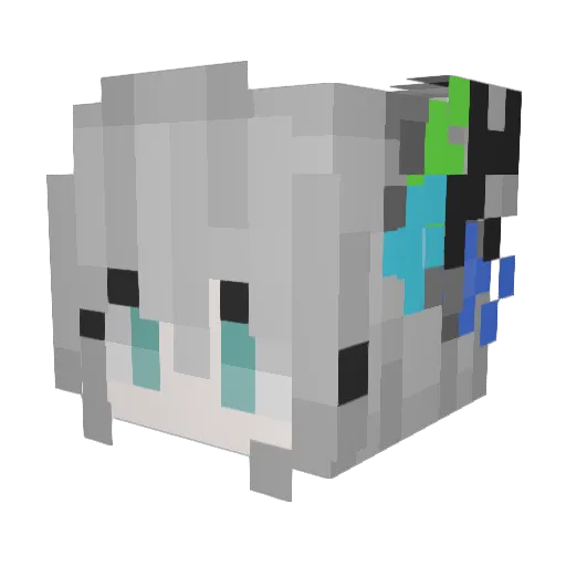 fwyoos Minecraft avatar head, 3D render