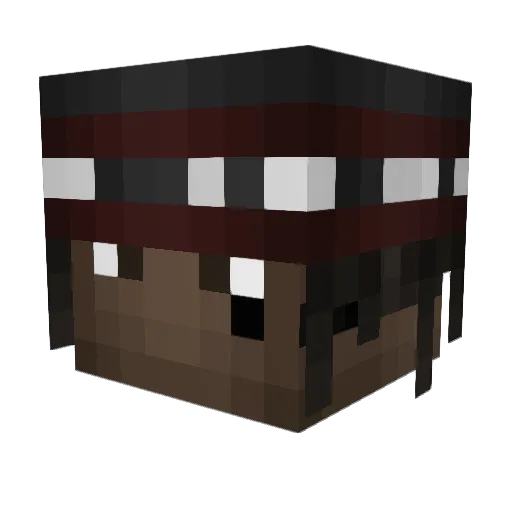 fxRAW Minecraft avatar head, 3D render