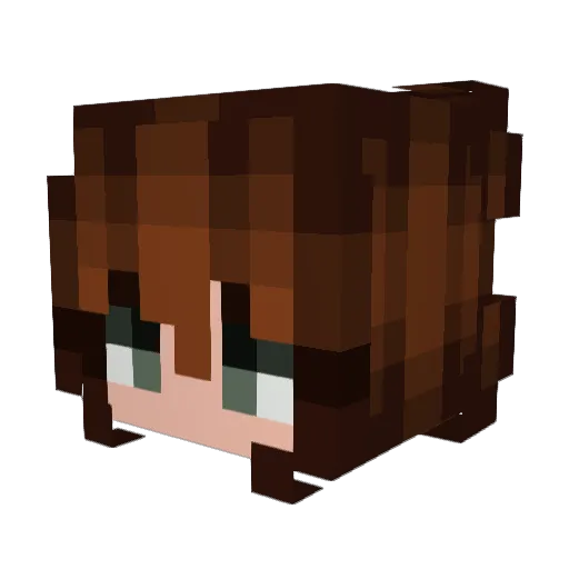 fxbixnne Minecraft avatar head, 3D render