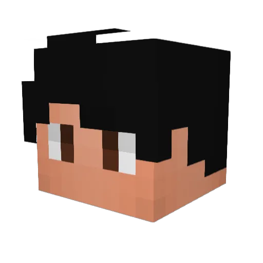 fxlipearbe Minecraft avatar head, 3D render