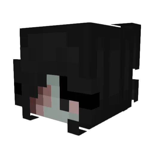 fxllen4u Minecraft avatar head, 3D render