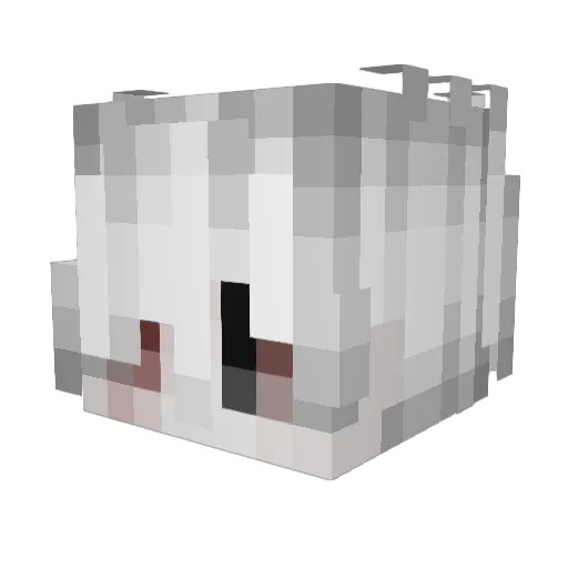 fxora Minecraft avatar head, 3D render