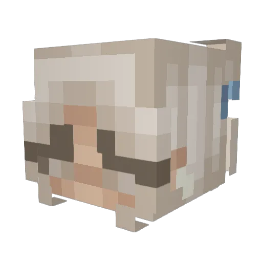 fxrley Minecraft avatar head, 3D render