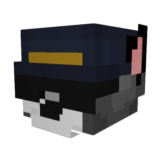 fxrschmak Minecraft avatar head, 3D render