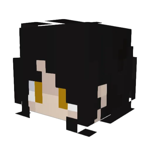 fxtfg Minecraft avatar head, 3D render