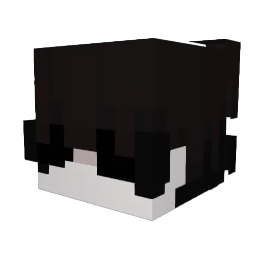fxwn_ Minecraft avatar head, 3D render
