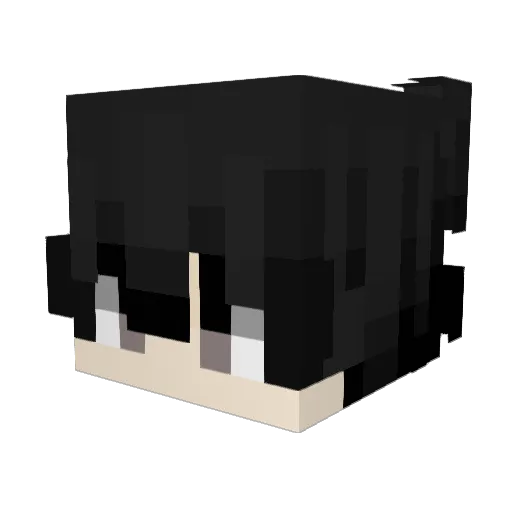 fxxd114514 Minecraft avatar head, 3D render