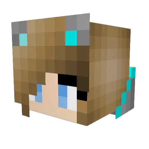 fy9l Minecraft avatar head, 3D render