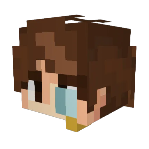fy_fel Minecraft avatar head, 3D render