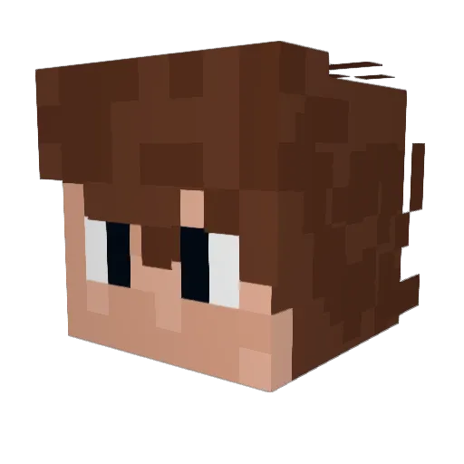 fybo_o Minecraft avatar head, 3D render
