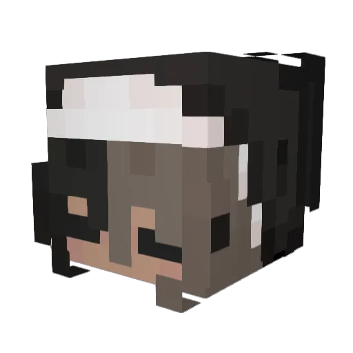 fybt Minecraft avatar head, 3D render