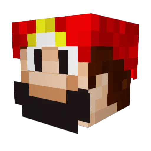 fycon1 Minecraft avatar head, 3D render