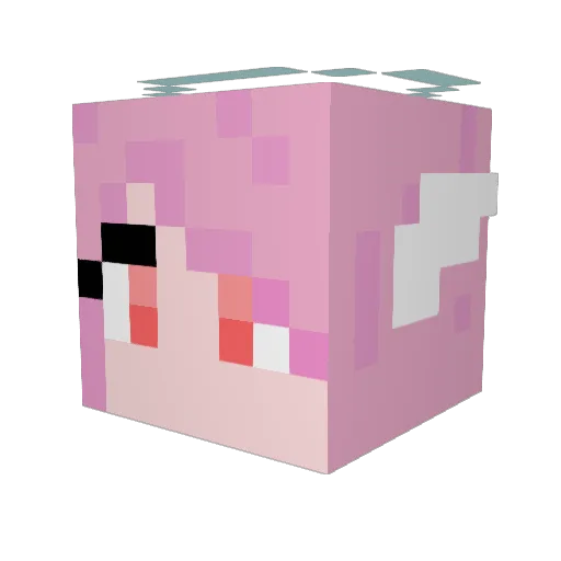 fydhjc Minecraft avatar head, 3D render