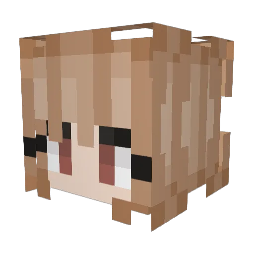 fyeboul Minecraft avatar head, 3D render