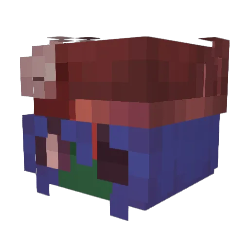 fyesis Minecraft avatar head, 3D render