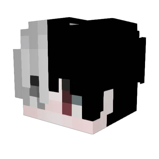 fynland_ Minecraft avatar head, 3D render