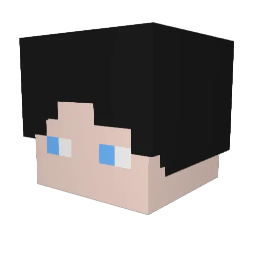 fynn005 Minecraft avatar head, 3D render