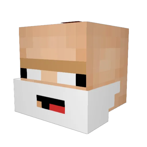 fynn232 Minecraft avatar head, 3D render