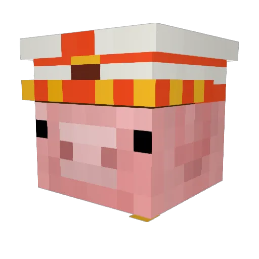 fynn5000 Minecraft avatar head, 3D render