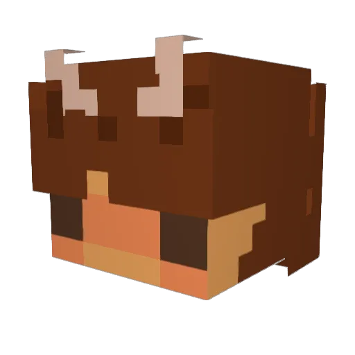fynnzworld Minecraft avatar head, 3D render