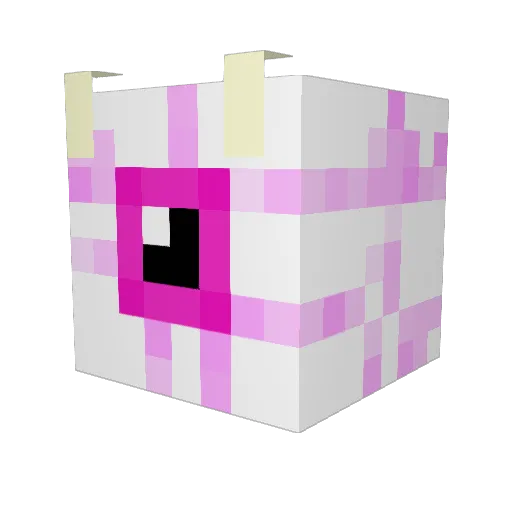 fynyquil Minecraft avatar head, 3D render