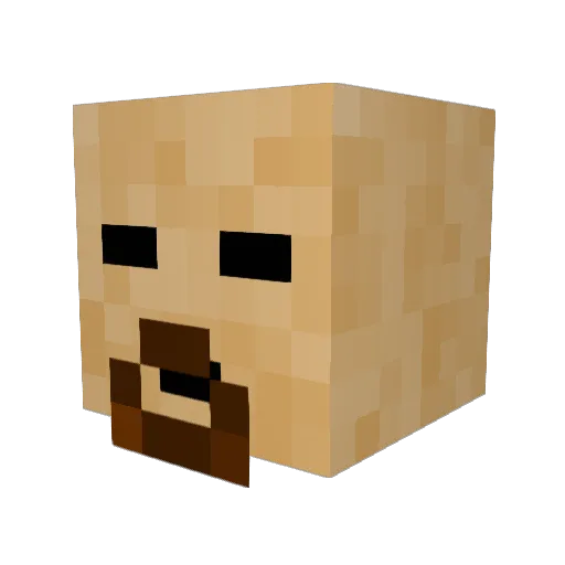 fysher99 Minecraft avatar head, 3D render