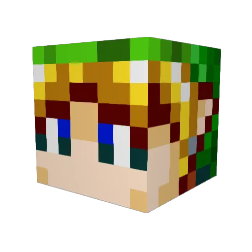 fytr1 Minecraft avatar head, 3D render