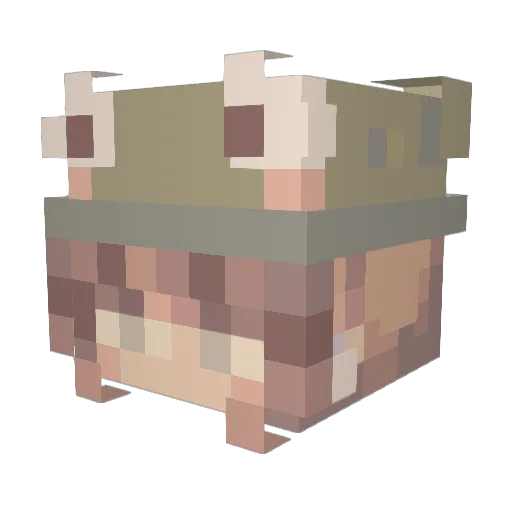 fytuko Minecraft avatar head, 3D render