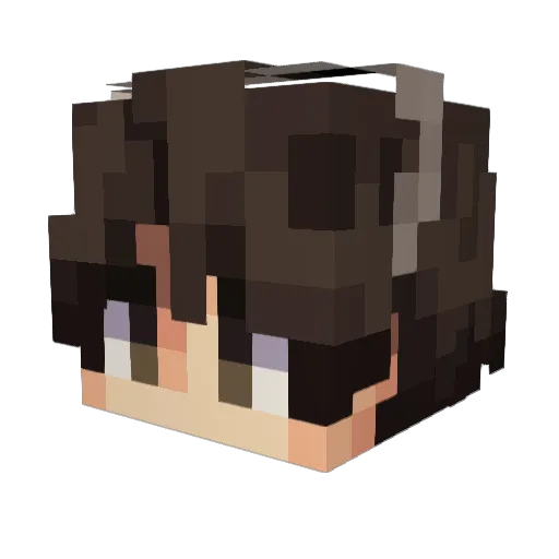 fywan Minecraft avatar head, 3D render