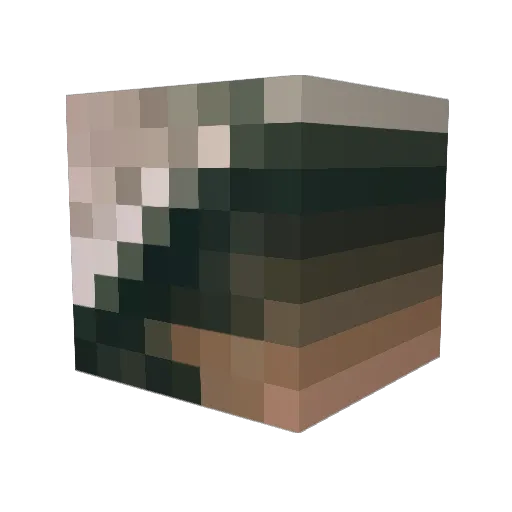 fyyk Minecraft avatar head, 3D render