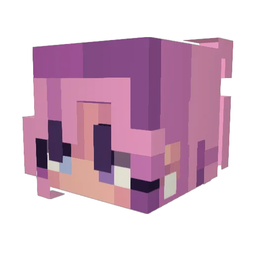 fza1999 Minecraft avatar head, 3D render