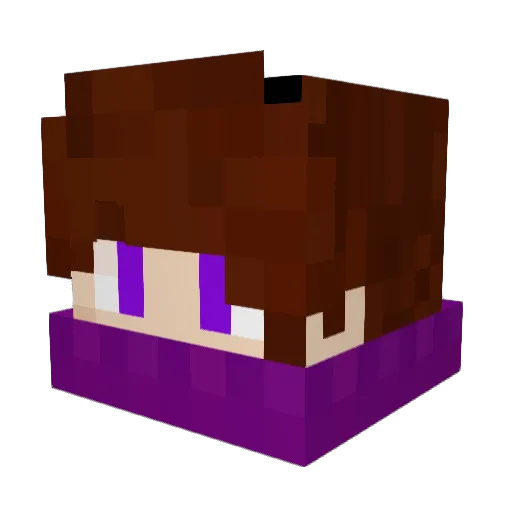 fzhi555 Minecraft avatar head, 3D render